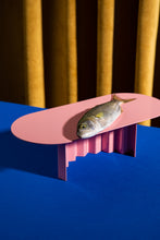 Görseli Galeri görüntüleyiciye yükleyin, Esnaf Sunum/Parti Tabağı, Pembe